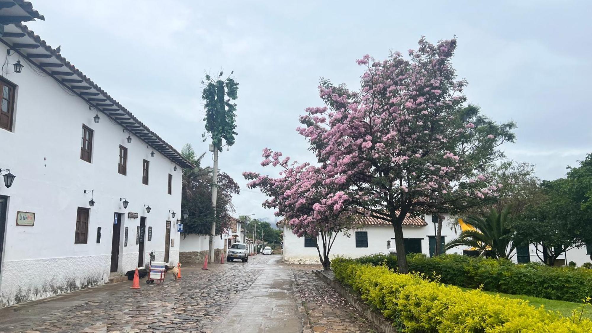 H&H Guest House Villa de Leyva Exterior photo